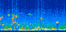 /calipso-imagery/data/BROWSE/production/V5-00/2019-12-22/2019-12-22_07-30-54_V5.00_3_thmb.png image missing