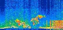 /calipso-imagery/data/BROWSE/production/V5-00/2019-12-22/2019-12-22_14-05-00_V5.00_2_thmb.png image missing