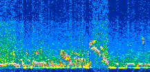 /calipso-imagery/data/BROWSE/production/V5-00/2019-12-22/2019-12-22_20-39-11_V5.00_2_thmb.png image missing