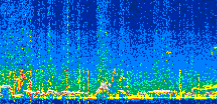 /calipso-imagery/data/BROWSE/production/V5-00/2019-12-25/2019-12-25_02-50-38_V5.00_2_thmb.png image missing