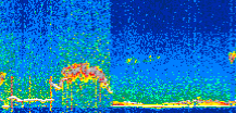 /calipso-imagery/data/BROWSE/production/V5-00/2019-12-25/2019-12-25_09-24-44_V5.00_2_thmb.png image missing