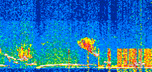 /calipso-imagery/data/BROWSE/production/V5-00/2019-12-25/2019-12-25_14-20-20_V5.00_2_thmb.png image missing
