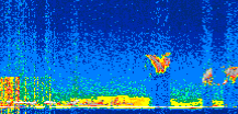 /calipso-imagery/data/BROWSE/production/V5-00/2019-12-25/2019-12-25_14-20-20_V5.00_3_thmb.png image missing