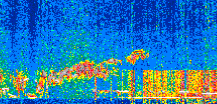 /calipso-imagery/data/BROWSE/production/V5-00/2019-12-25/2019-12-25_19-15-55_V5.00_2_thmb.png image missing