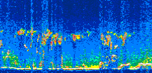 /calipso-imagery/data/BROWSE/production/V5-00/2019-12-26/2019-12-26_05-07-07_V5.00_3_thmb.png image missing