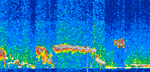 /calipso-imagery/data/BROWSE/production/V5-00/2019-12-26/2019-12-26_06-45-37_V5.00_2_thmb.png image missing