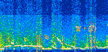 /calipso-imagery/data/BROWSE/production/V5-00/2019-12-26/2019-12-26_11-41-13_V5.00_2_thmb.png image missing