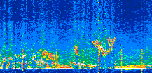 /calipso-imagery/data/BROWSE/production/V5-00/2019-12-26/2019-12-26_19-53-54_V5.00_2_thmb.png image missing
