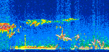 /calipso-imagery/data/BROWSE/production/V5-00/2019-12-26/2019-12-26_23-10-59_V5.00_3_thmb.png image missing