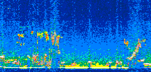 /calipso-imagery/data/BROWSE/production/V5-00/2019-12-27/2019-12-27_04-06-30_V5.00_3_thmb.png image missing
