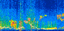 /calipso-imagery/data/BROWSE/production/V5-00/2019-12-27/2019-12-27_09-02-05_V5.00_2_thmb.png image missing