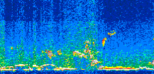 /calipso-imagery/data/BROWSE/production/V5-00/2019-12-27/2019-12-27_10-40-41_V5.00_2_thmb.png image missing