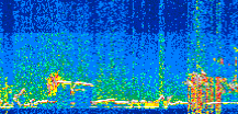 /calipso-imagery/data/BROWSE/production/V5-00/2019-12-27/2019-12-27_12-19-11_V5.00_2_thmb.png image missing