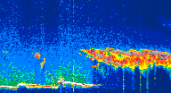/calipso-imagery/data/BROWSE/production/V5-00/2019-12-27/2019-12-27_12-19-11_V5.00_4_thmb.png image missing