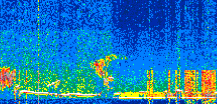 /calipso-imagery/data/BROWSE/production/V5-00/2019-12-27/2019-12-27_13-57-41_V5.00_2_thmb.png image missing