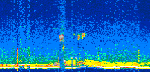 /calipso-imagery/data/BROWSE/production/V5-00/2019-12-27/2019-12-27_13-57-41_V5.00_3_thmb.png image missing