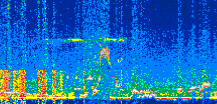 /calipso-imagery/data/BROWSE/production/V5-00/2019-12-27/2019-12-27_18-53-17_V5.00_3_thmb.png image missing