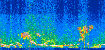 /calipso-imagery/data/BROWSE/production/V5-00/2019-12-27/2019-12-27_20-31-52_V5.00_2_thmb.png image missing