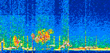 /calipso-imagery/data/BROWSE/production/V5-00/2019-12-27/2019-12-27_23-48-52_V5.00_2_thmb.png image missing