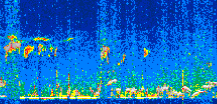 /calipso-imagery/data/BROWSE/production/V5-00/2019-12-31/2019-12-31_04-59-53_V5.00_3_thmb.png image missing