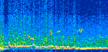 /calipso-imagery/data/BROWSE/production/V5-00/2019-12-31/2019-12-31_06-38-23_V5.00_2_thmb.png image missing