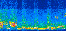 /calipso-imagery/data/BROWSE/production/V5-00/2019-12-31/2019-12-31_11-33-59_V5.00_2_thmb.png image missing