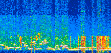 /calipso-imagery/data/BROWSE/production/V5-00/2019-12-31/2019-12-31_13-12-29_V5.00_2_thmb.png image missing