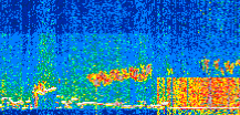 /calipso-imagery/data/BROWSE/production/V5-00/2019-12-31/2019-12-31_14-50-59_V5.00_2_thmb.png image missing