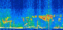 /calipso-imagery/data/BROWSE/production/V5-00/2019-12-31/2019-12-31_23-03-40_V5.00_2_thmb.png image missing
