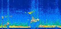 /calipso-imagery/data/BROWSE/production/V5-00/2019-12-31/2019-12-31_23-03-40_V5.00_3_thmb.png image missing