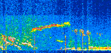 /calipso-imagery/data/BROWSE/production/V5-00/2020-01-01/2020-01-01_02-20-45_V5.00_2_thmb.png image missing