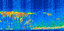 /calipso-imagery/data/BROWSE/production/V5-00/2020-01-01/2020-01-01_05-37-46_V5.00_3_thmb.png image missing