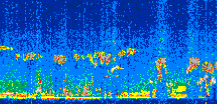 /calipso-imagery/data/BROWSE/production/V5-00/2020-01-01/2020-01-01_07-16-21_V5.00_3_thmb.png image missing