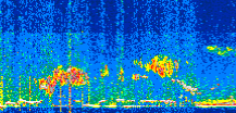 /calipso-imagery/data/BROWSE/production/V5-00/2020-01-01/2020-01-01_08-54-51_V5.00_2_thmb.png image missing