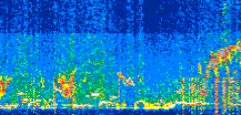 /calipso-imagery/data/BROWSE/production/V5-00/2020-01-01/2020-01-01_12-11-57_V5.00_2_thmb.png image missing