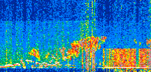 /calipso-imagery/data/BROWSE/production/V5-00/2020-01-01/2020-01-01_15-28-57_V5.00_2_thmb.png image missing