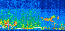 /calipso-imagery/data/BROWSE/production/V5-00/2020-01-01/2020-01-01_22-03-08_V5.00_2_thmb.png image missing