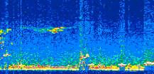 /calipso-imagery/data/BROWSE/production/V5-00/2020-01-01/2020-01-01_23-41-38_V5.00_3_thmb.png image missing