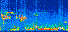 /calipso-imagery/data/BROWSE/production/V5-00/2021-01-05/2021-01-05_02-45-43_V5.00_3_thmb.png image missing