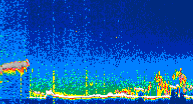 /calipso-imagery/data/BROWSE/production/V5-00/2021-01-05/2021-01-05_04-24-13_V5.00_4_thmb.png image missing
