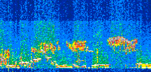 /calipso-imagery/data/BROWSE/production/V5-00/2021-01-05/2021-01-05_07-41-19_V5.00_2_thmb.png image missing
