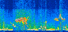 /calipso-imagery/data/BROWSE/production/V5-00/2021-01-05/2021-01-05_10-58-19_V5.00_2_thmb.png image missing