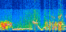 /calipso-imagery/data/BROWSE/production/V5-00/2021-01-05/2021-01-05_12-36-49_V5.00_2_thmb.png image missing