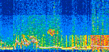 /calipso-imagery/data/BROWSE/production/V5-00/2021-01-05/2021-01-05_14-15-20_V5.00_2_thmb.png image missing