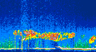 /calipso-imagery/data/BROWSE/production/V5-00/2021-01-05/2021-01-05_19-10-55_V5.00_4_thmb.png image missing