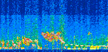 /calipso-imagery/data/BROWSE/production/V5-00/2021-01-05/2021-01-05_20-49-31_V5.00_2_thmb.png image missing
