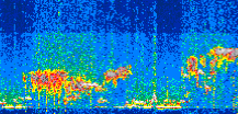 /calipso-imagery/data/BROWSE/production/V5-00/2021-01-10/2021-01-10_02-37-58_V5.00_2_thmb.png image missing