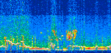 /calipso-imagery/data/BROWSE/production/V5-00/2021-01-10/2021-01-10_09-12-04_V5.00_2_thmb.png image missing