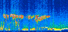 /calipso-imagery/data/BROWSE/production/V5-00/2021-01-10/2021-01-10_09-12-04_V5.00_3_thmb.png image missing