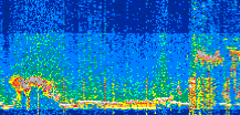 /calipso-imagery/data/BROWSE/production/V5-00/2021-01-10/2021-01-10_12-29-05_V5.00_2_thmb.png image missing